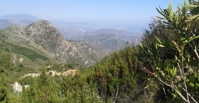 Parque de la Naturaleza Peña Escrita, Almuñécar.